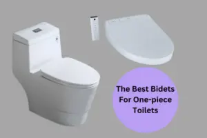 Best bidet for one piece toilet