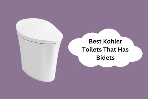 Best Kohler Bidet Toilet Combo